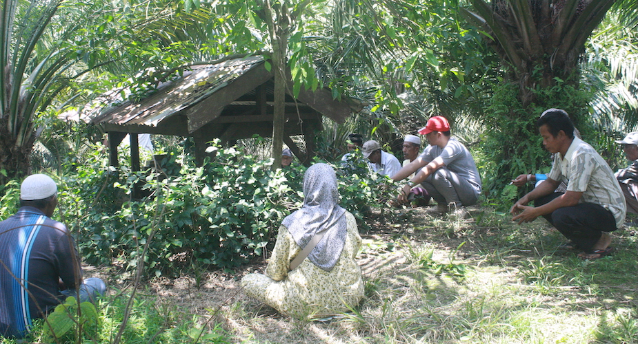 The gravesite of a victim from 1965 in the middle of a palm oil plantation / Author